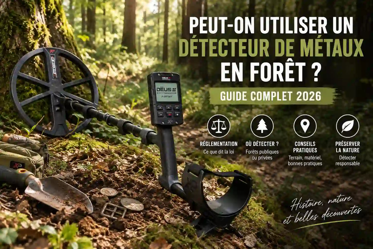 Peut-on utiliser un détecteur de métaux en forêt ? Guide complet 2026